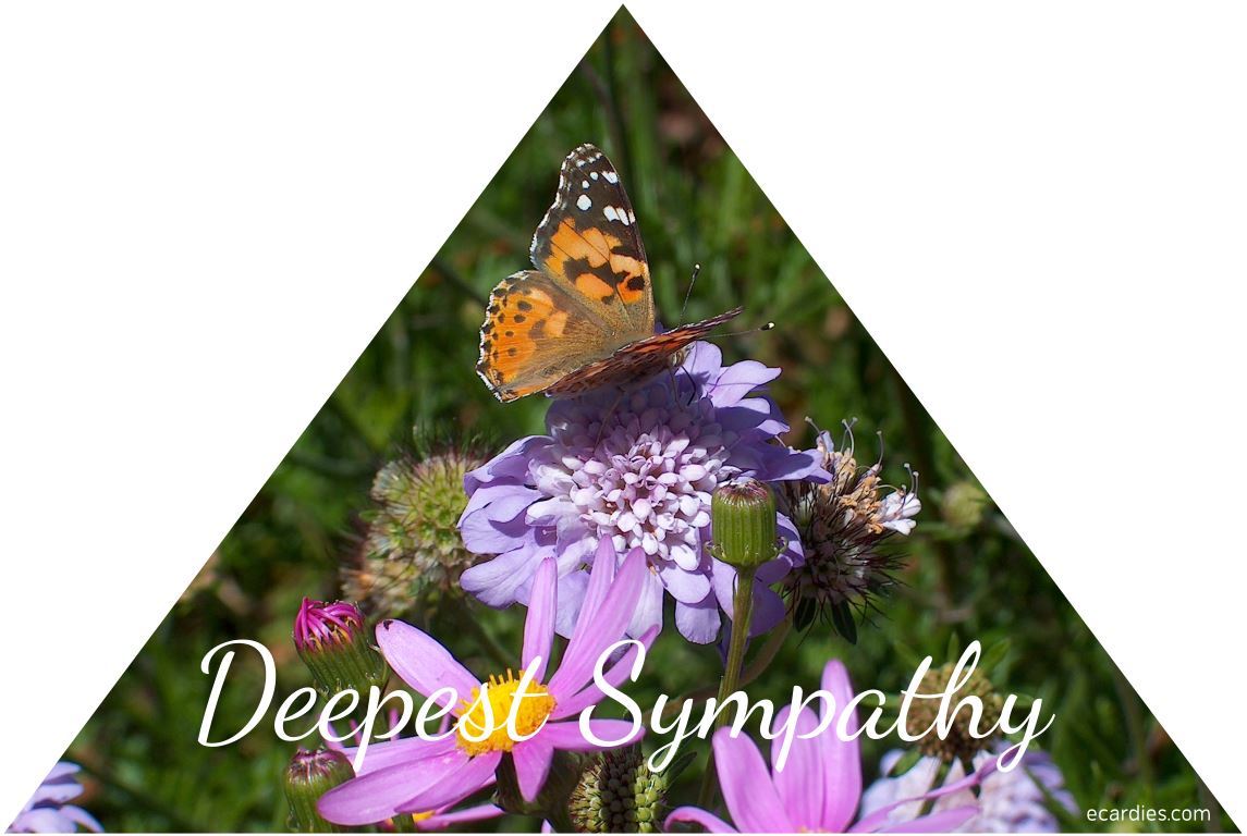 Deepest Sympathy Photographic eCard Painted Lady Butterfly and flowers