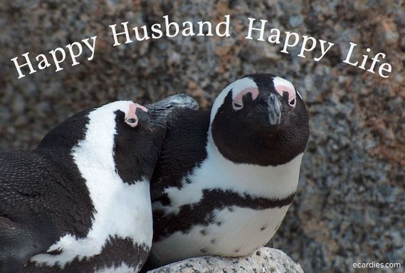 Happy Husband Happy Life Ecard Penguins
