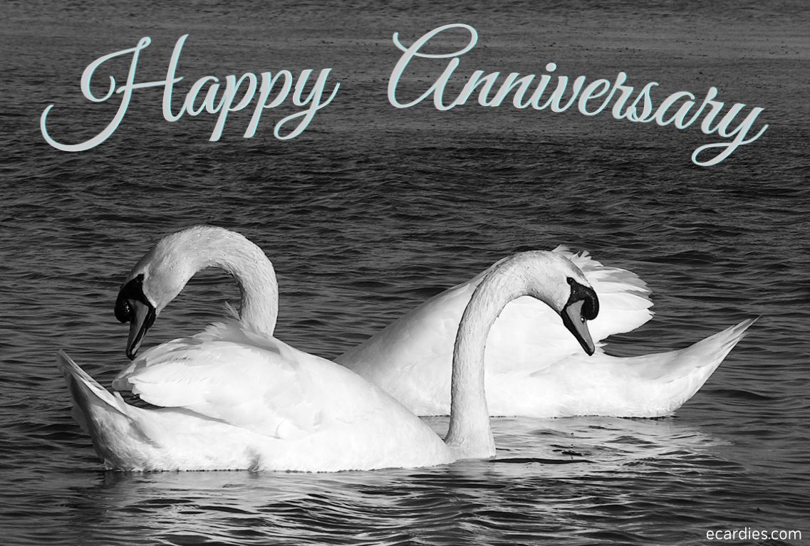 Happy Silver Anniversary Photographic eCard Swans