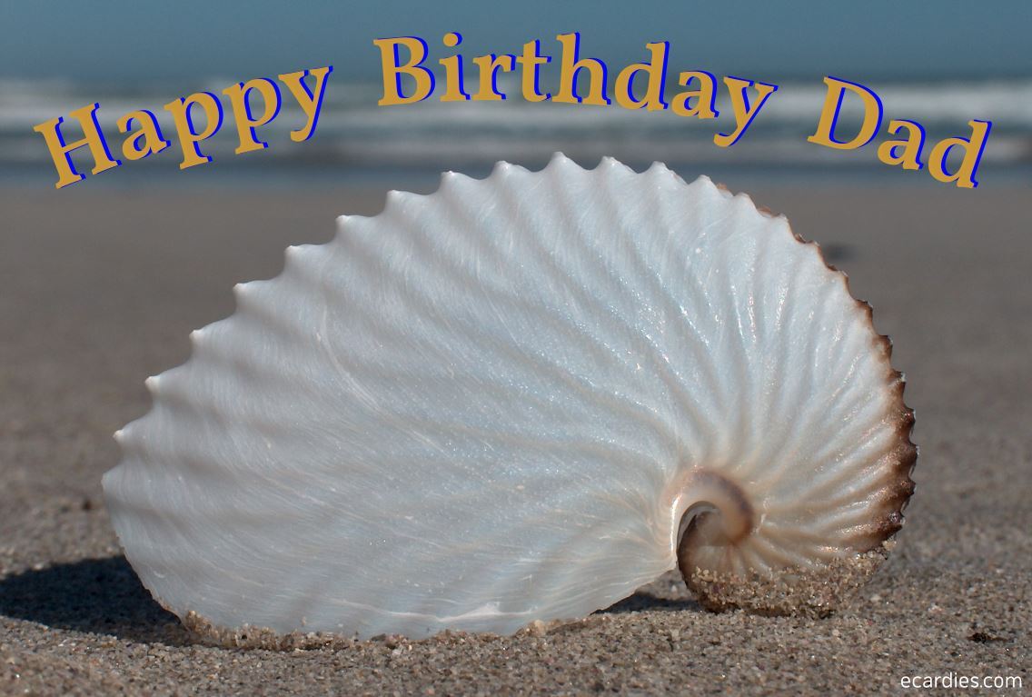 Happy Birthday Dad Photographic eCard Nautilus Seashell