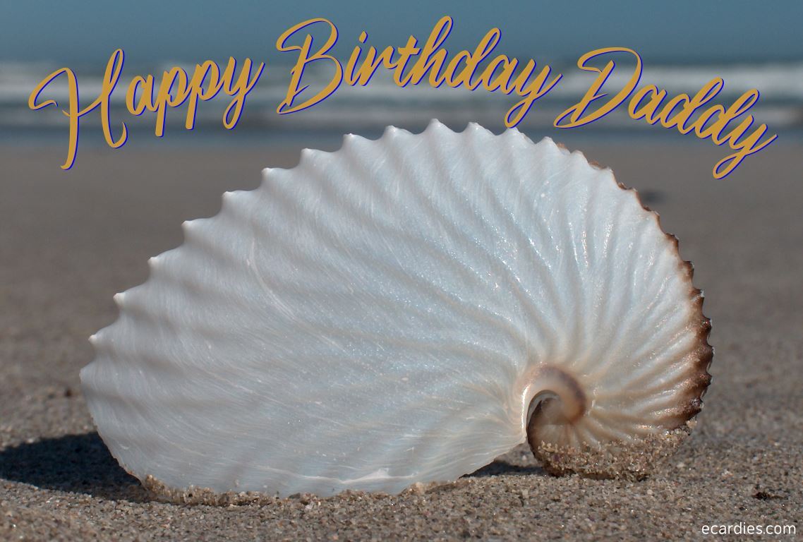 Happy Birthday Daddy Photographic eCard Nautilus Seashell