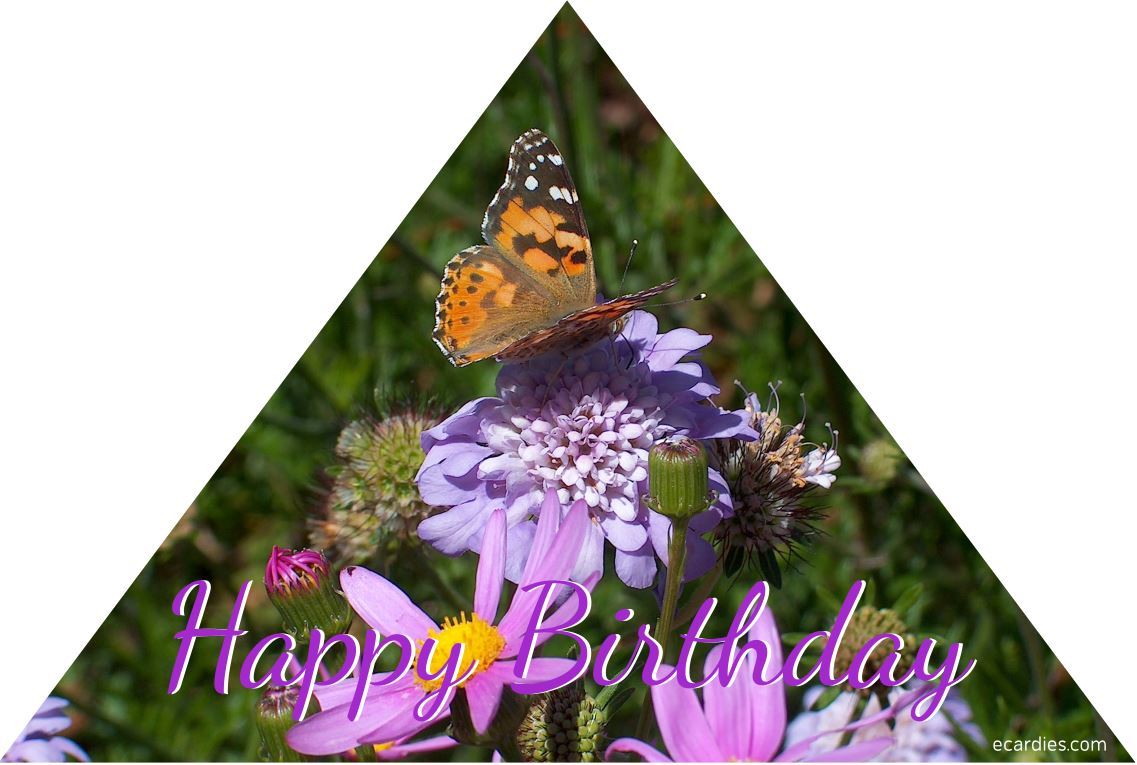 Happy Birthday Photographic eCard Painted Lady Butterfly on Flowers Flower