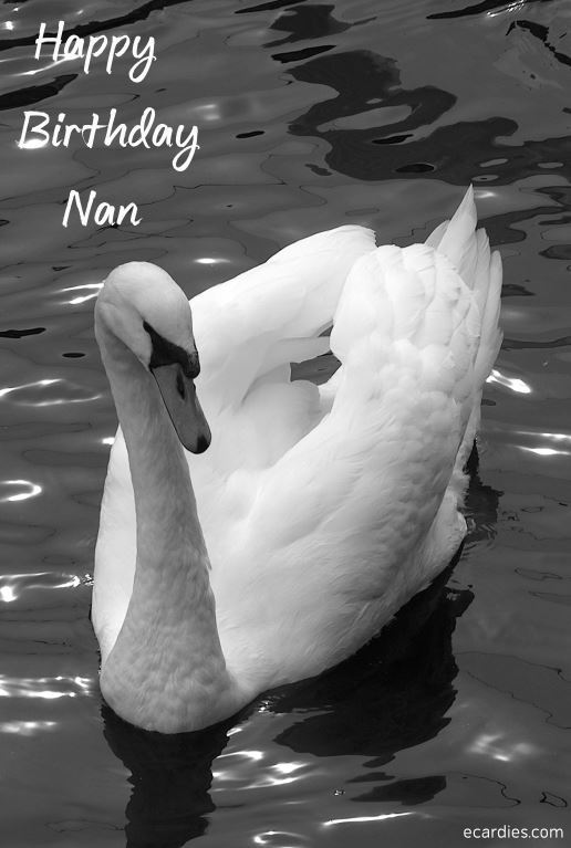 Happy Birthday Nan Photographic eCard Swan