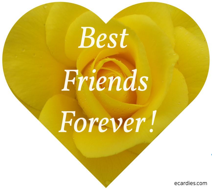 Hearts Best Friends Forever Photographic eCard Yellow Rose