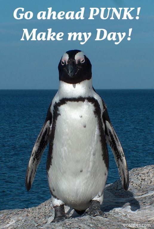 Humour Photographic eCard Penguin