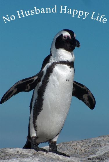No Husband Happy Life Ecard Penguin